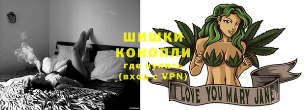 стафф Струнино