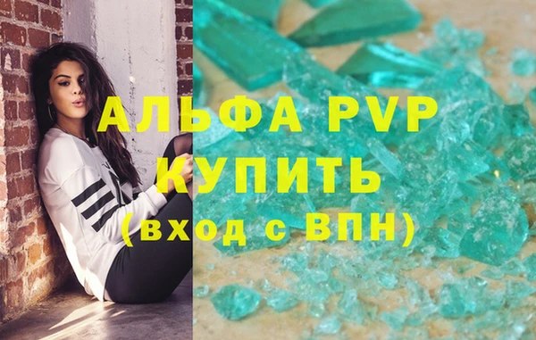 ГАЛЛЮЦИНОГЕННЫЕ ГРИБЫ Бородино