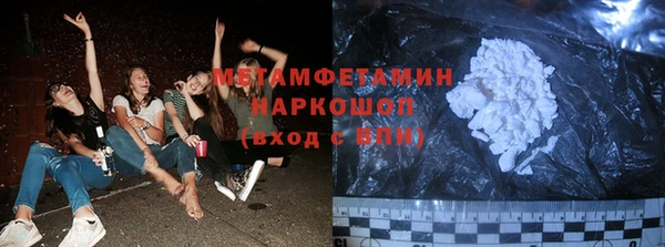 ГАЛЛЮЦИНОГЕННЫЕ ГРИБЫ Бородино