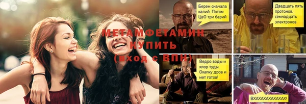 ГАЛЛЮЦИНОГЕННЫЕ ГРИБЫ Бородино
