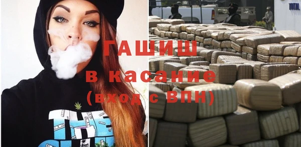 ГАЛЛЮЦИНОГЕННЫЕ ГРИБЫ Бородино