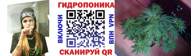 Канабис Ganja  магазин    Томари 